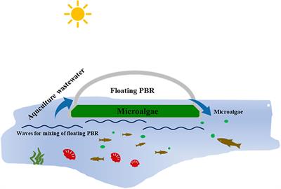 Numerical study on the internal fluid mixing and its influencing mechanisms of the wave-driven floating photobioreactor for microalgae production